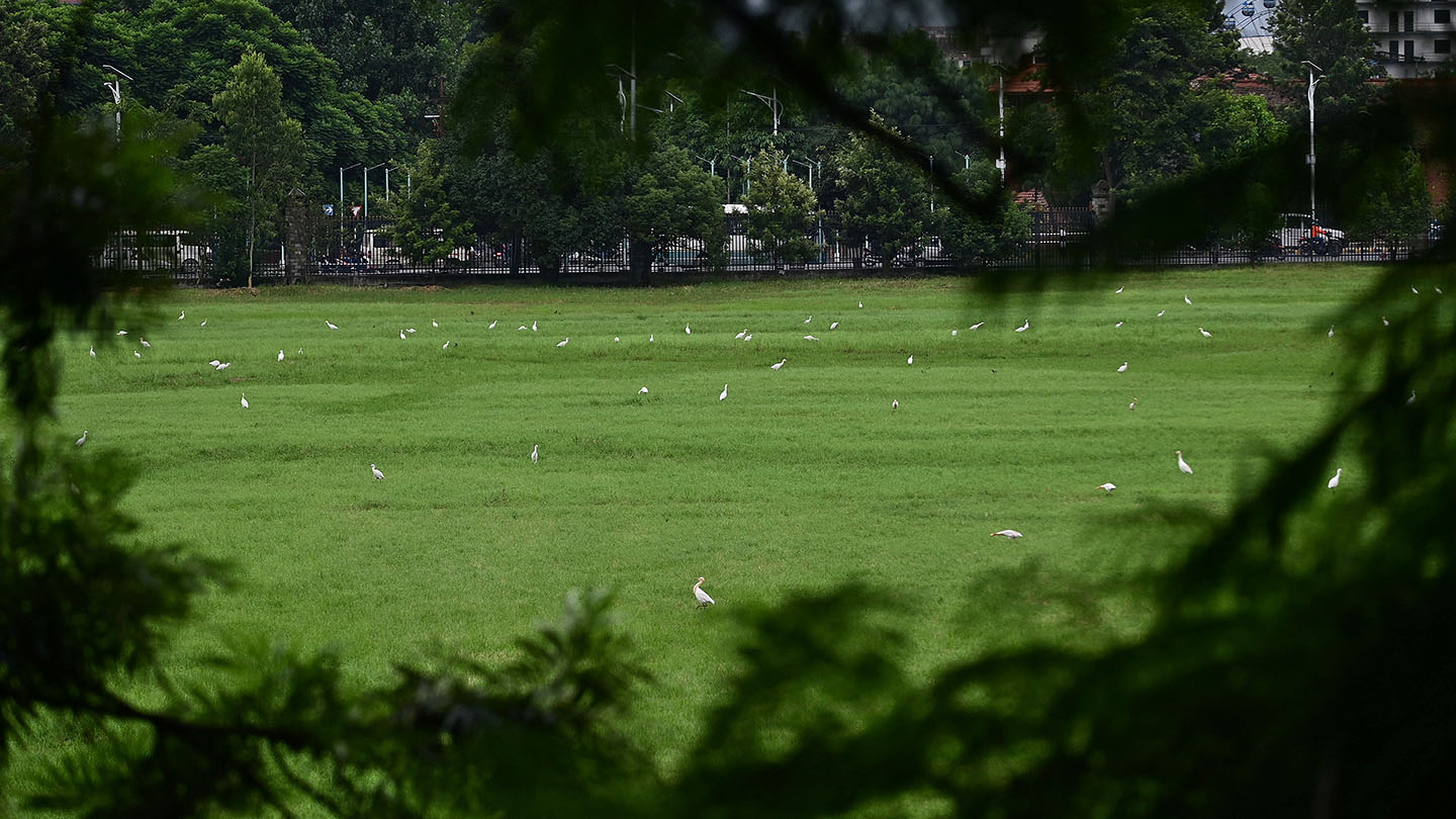 टुँडिखेलको चउरमा बकुल्लाहरू... (फोटोफिचर)